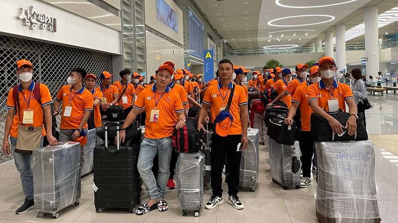 Loại bỏ trung gian, môi giới xuất khẩu lao động